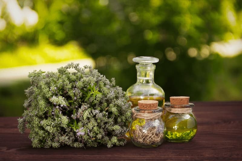 خرید بهترین عرقیات گیاهی برای درمان فشار خون بالا